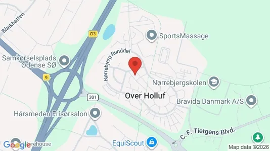 Andelsboliger til salg i Odense SØ - kort over placeringen