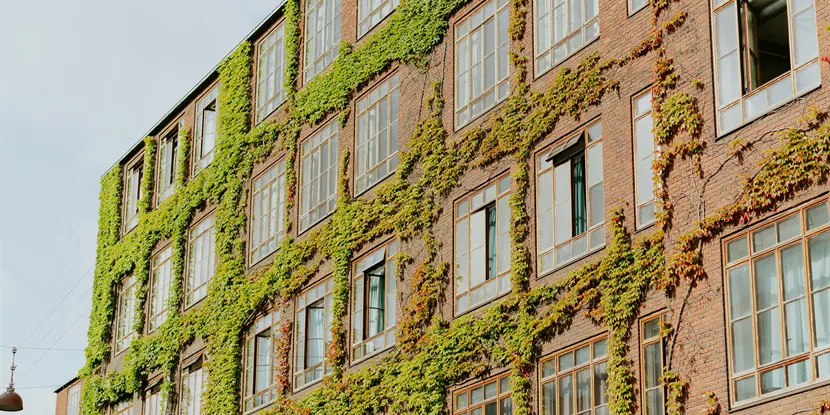 Kan jeg låne penge i en andelboligs friværdi?