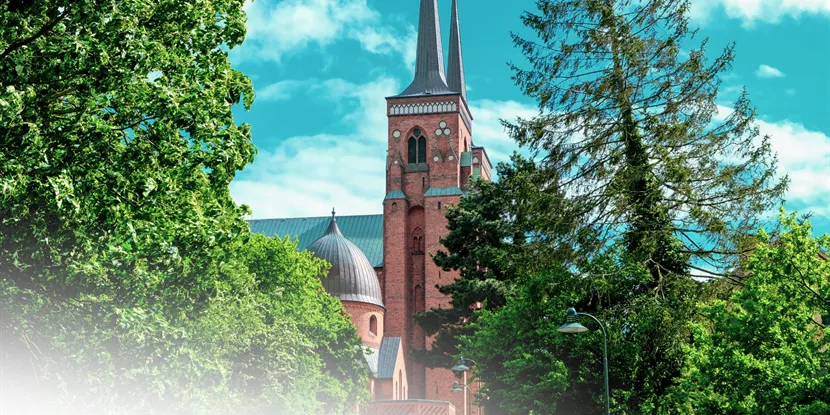 Roskilde: Danmarks historie og kultur i ét